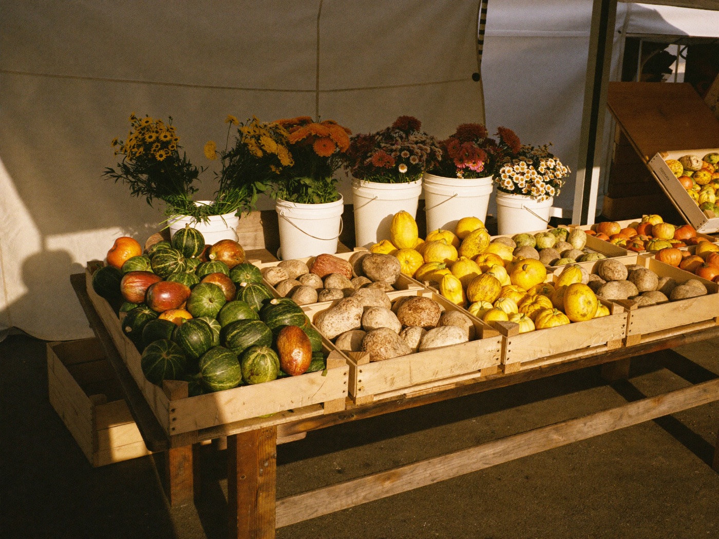A representative scene